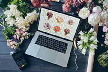 website design somerset